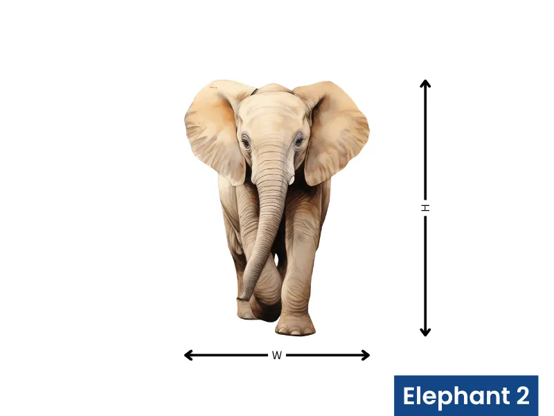 Little Elephant Safari - Image 6