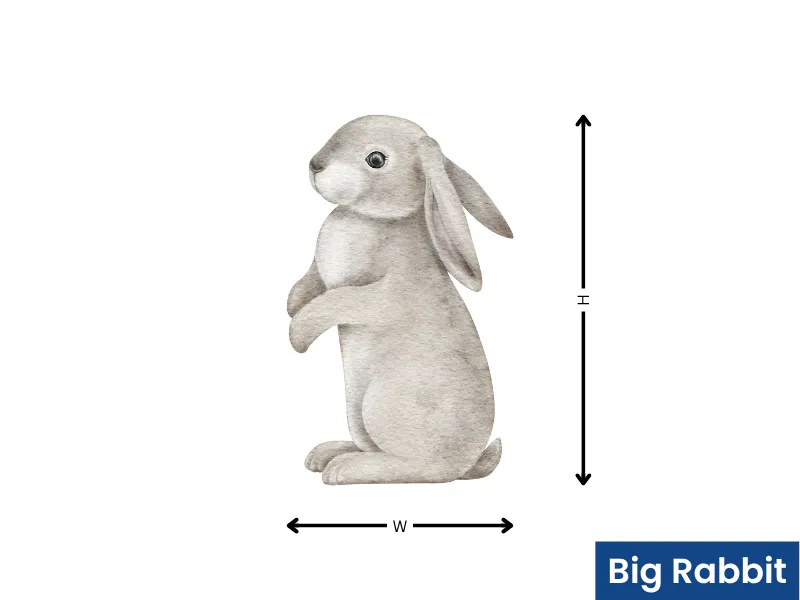 Cute Bunny Carrot - Image 5