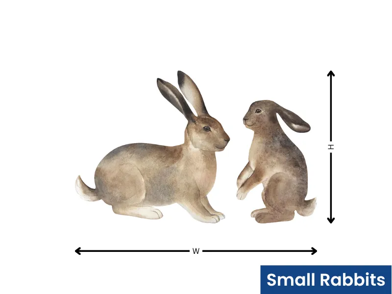Cute Bunny Carrot - Image 6